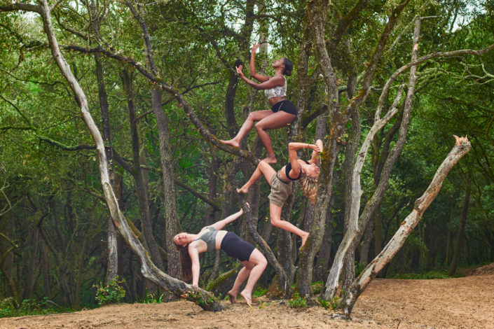 groupe de danseuses en vendée faisant de l'acrobranche